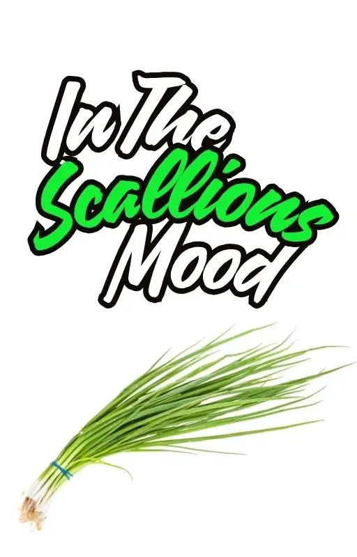 Scallions-cover